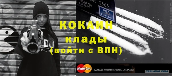 молекула духа Алексин