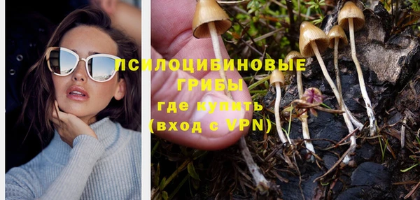 молекула духа Алексин