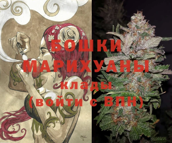 молекула духа Алексин